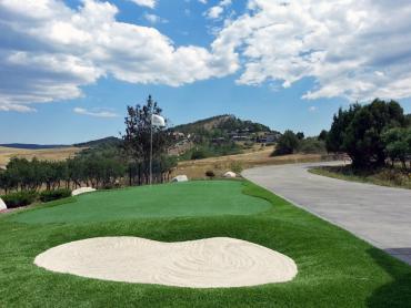 Artificial Grass Photos: Artificial Pet Grass Camarillo California Landscape, Lawns